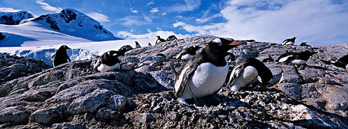 开放世界竞速《无限试驾：太阳王冠》新截图公开