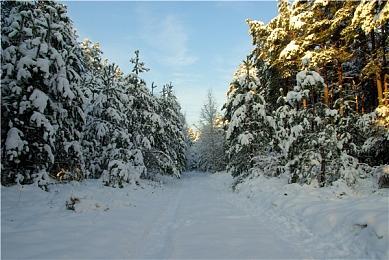 《死亡回归》衍生图画小说正式公布 10月正式发售