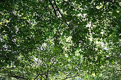 PS5科幻新IP泄露 虚幻5引擎打造